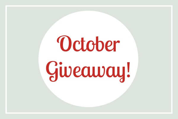 October Giveaway: Win this Awesome Packing Organizer!