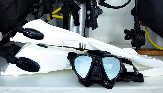 5 Scuba Diving Essentials for the First Time Diver