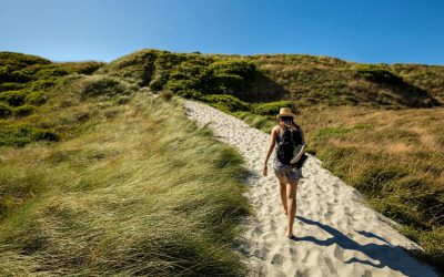 What to Pack for a Camping Trip in New Zealand