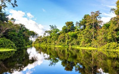 What to Wear in the Amazon Rainforest: A Packing List