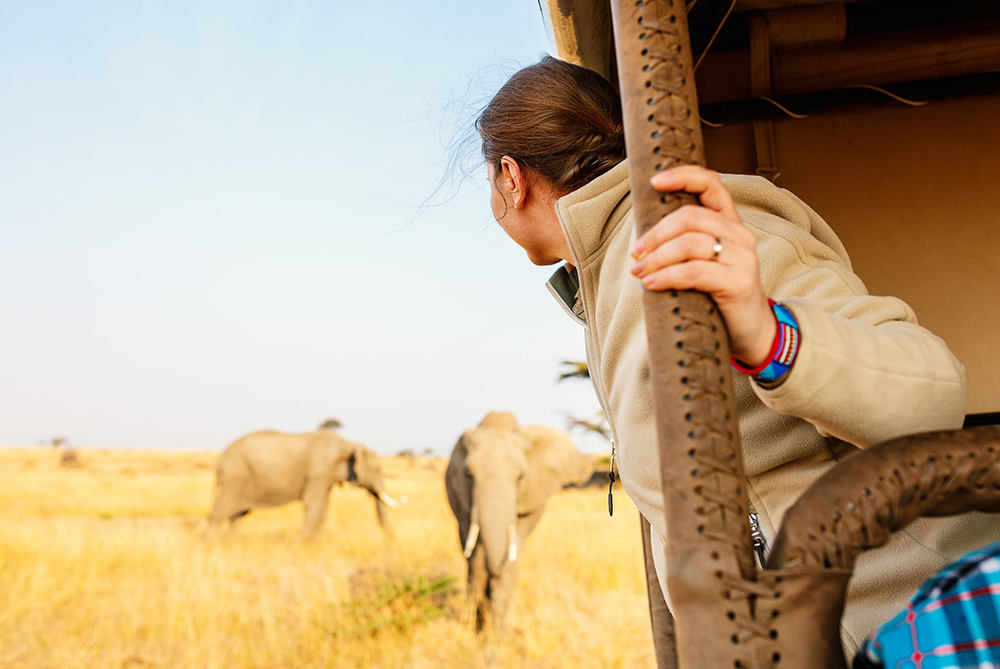 African Safari Outfit Inspiration  Diana Miaus