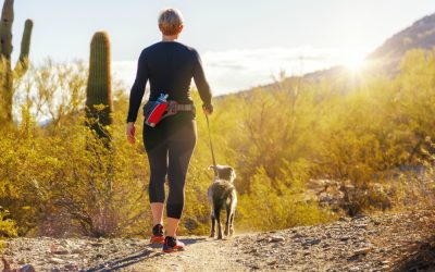 Best Hiking Gear for Dogs to Join Your Wilderness Adventures