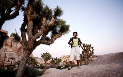 What to Pack for Joshua Tree National Park: Clothing, Essentials, and Gear