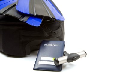 What’s the Best Dive Bag to Pack Scuba Gear? Check Out These Picks!