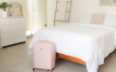 Protected: Best Budget 20” Carry-On for Frequent Flyers: Bagsmart Getaway Suitcase Review